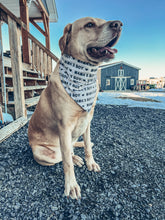 Load image into Gallery viewer, Mama's Boy Scrunchie Dog Bandana