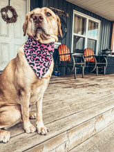 Load image into Gallery viewer, Pink Leopard Scrunchie Dog Bandana
