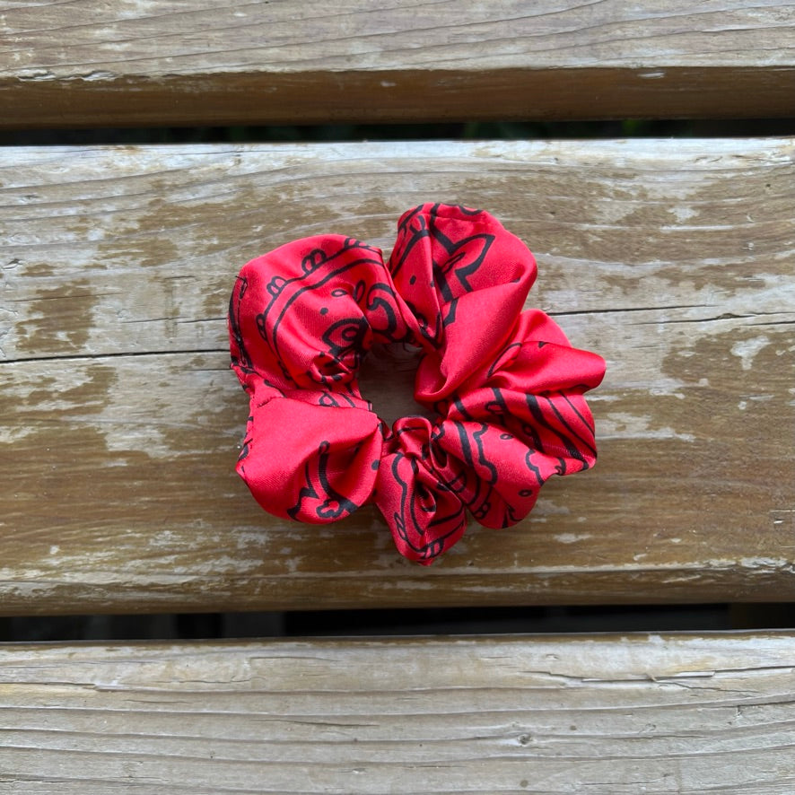 Red Bandana Paisley Mini