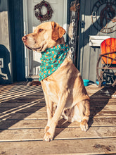 Load image into Gallery viewer, Turquoise Drinking Buddy Scrunchie Dog Bandana
