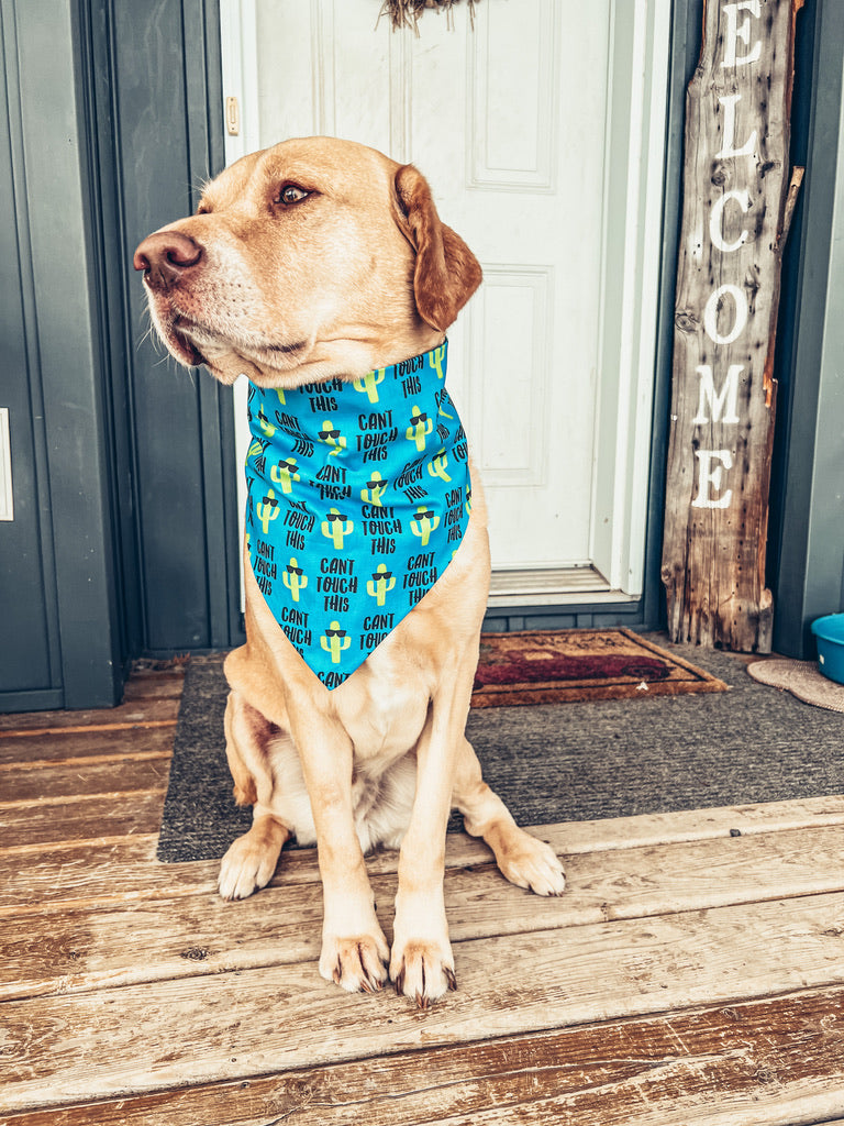 Can't Touch This Scrunchie Dog Bandana