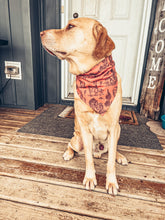 Load image into Gallery viewer, Wilder Days in Rusted Out Scrunchie Dog Bandana
