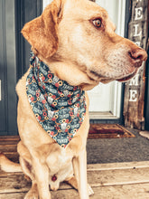 Load image into Gallery viewer, Cant Be Tamed Scrunchie Dog Bandana
