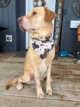 Load image into Gallery viewer, Multi Cowhide Scrunchie Dog Bandana
